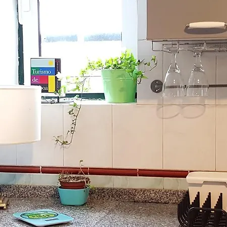 Apartment With Lots Of Sunlight *